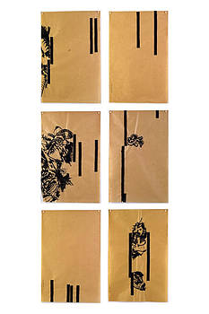 1- 2025 07 07 B 1-6 - 32-49,5 cm - très contre