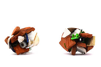 A - Bâties les 04 et 06 février 2025 - Récolte, Sète (34) – chemin de la Crique de l’Angle – 02 février 2025 - N°1 et 2