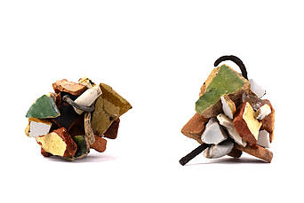 B - Bâties les 26 et 29 janvier 2025 - Récolte, Montpellier (34) Jardin des Plantes -23 janvier 2025 - N°1 et 2