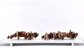 Brochette Tournon 2009 - 2020 09 29