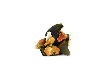 Bâtie le 05 Mars 2025 - Récolte, Jardin de Gloria - Glun