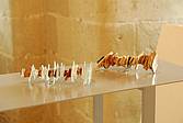 Intervention et Exposition à Tournon sur Rhône au Musée du Château
