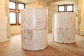 Intervention et Exposition à Tournon sur Rhône au Musée du Château