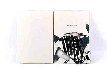 Jean Marc Saulnier - Régine Detambel - EDITIONS DU BOURDARIC p3
