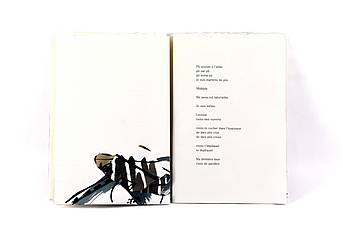 Jean Marc Saulnier - Régine Detambel - EDITIONS DU BOURDARIC p7